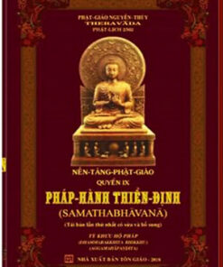 Nền tảng Phật giáo quyển 9- Pháp Hành Thiền Định