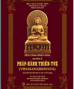 Nền tảng Phật giáo quyển X -Pháp -Hành Thiền -Tuệ