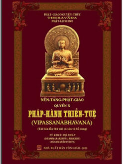 Nền tảng Phật giáo quyển X -Pháp -Hành Thiền -Tuệ