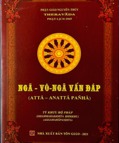 NGÃ -VÔ-NGÃ VẤN ĐÁP