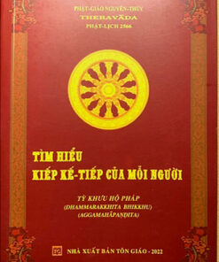 Tìm Hiểu Kiếp Kế Tiếp của mỗi người