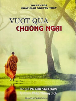 VƯỢT QUA CHƯỚNG NGẠI